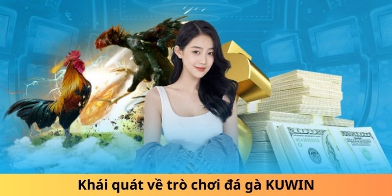 Khái quát về trò chơi đá gà KUWIN