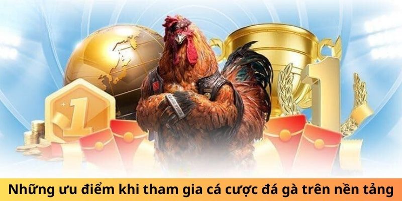 Những ưu điểm khi tham gia cá cược đá gà trên nền tảng